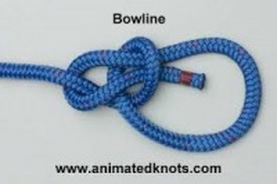 Animated knots